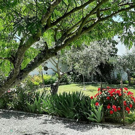 A Casa Francesa Villa Anceriz Exteriör bild