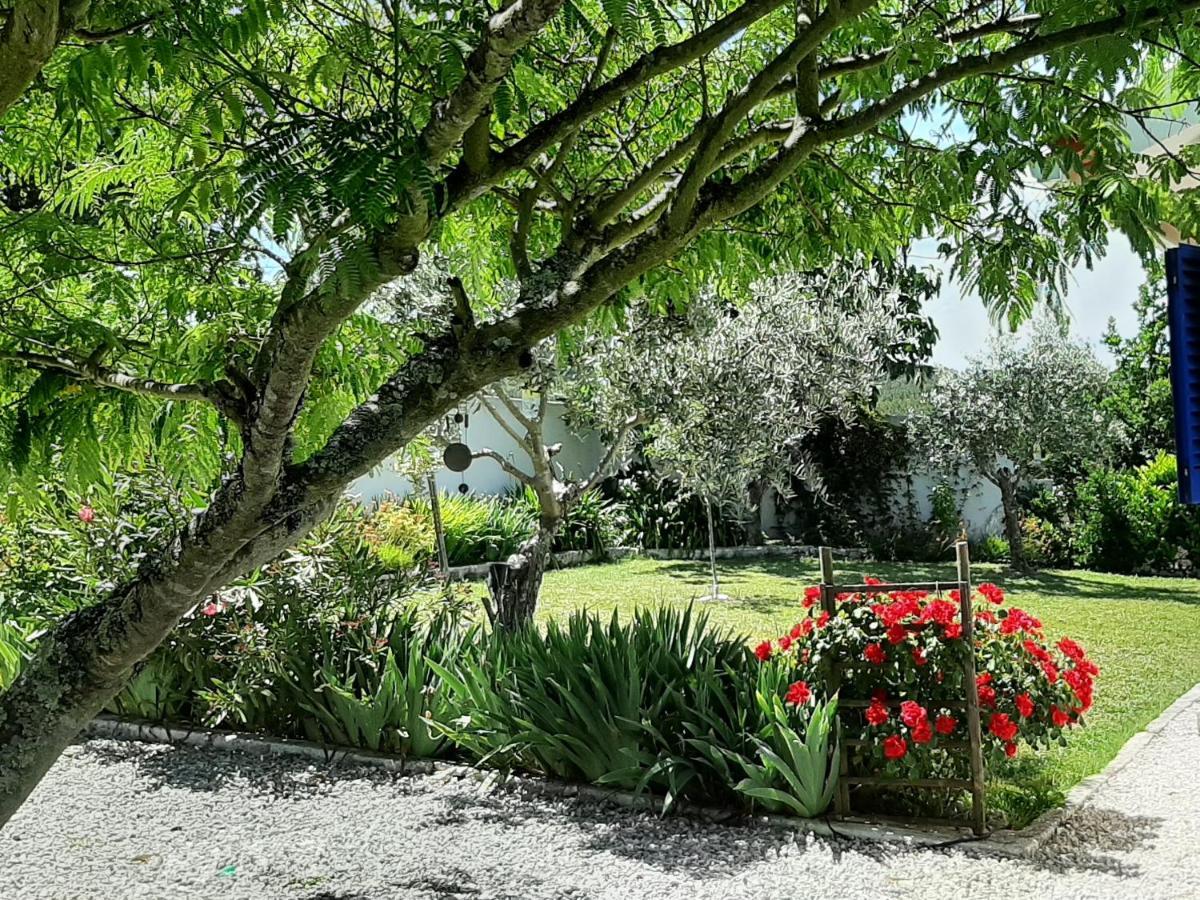 A Casa Francesa Villa Anceriz Exteriör bild